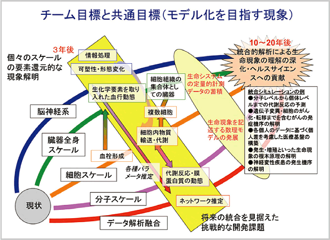 生命現象の本質に迫る革新的なアプローチバイオスーパーコンピューティングによる挑戦が始まる