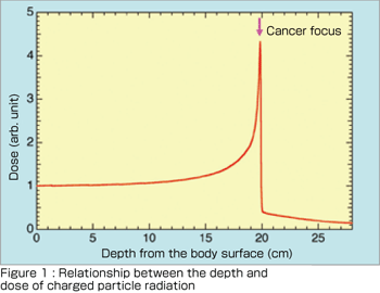 Simulation for Charged Particle Therapy