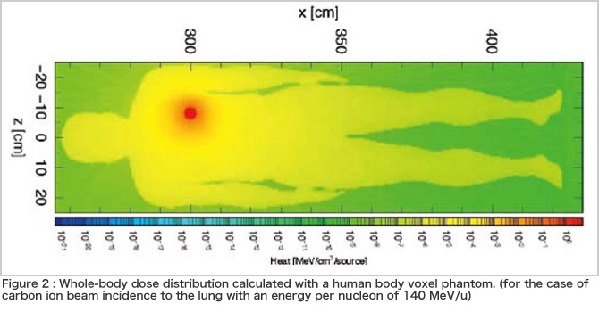 Simulation for Charged Particle Therapy