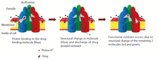 Figure1