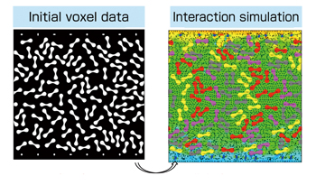 初期voxelデータ　達成シミュレーション