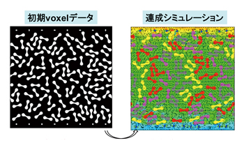 初期voxelデータ　達成シミュレーション