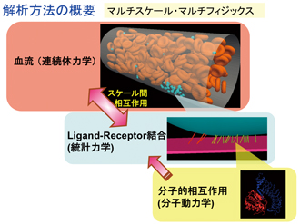 解析方法の概要