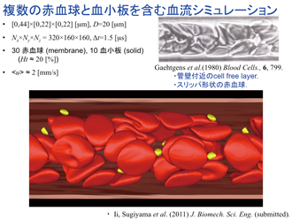 複数の赤血球と血小板を含む血流シミュレーション