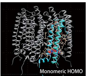 Protein DF - Protein All Electron Calculation