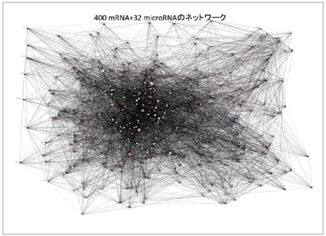 ｍRNA遺伝子ネットワーク