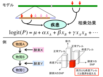 ExRATイメージ