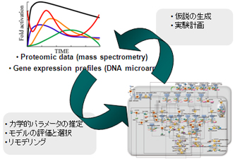 LiSDASイメージ