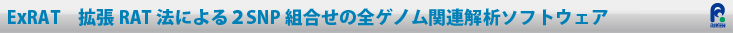 ExRAT拡張RAT法による２SNP組合せの全ゲノム関連解析ソフトウェア