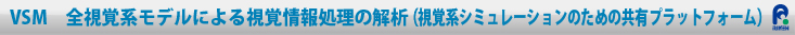 VSM全視覚系モデルによる視覚情報処理の解析（視覚系シミュレーションのための共有プラットフォーム）